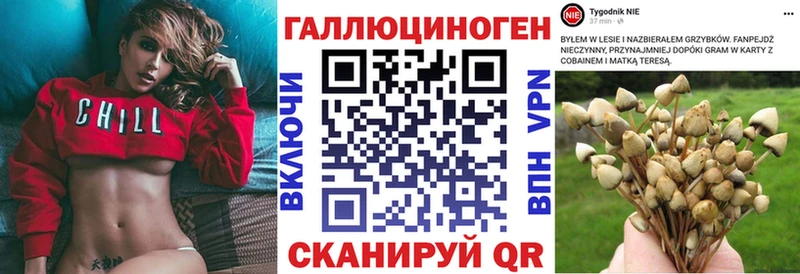 Галлюциногенные грибы мицелий  Купить где  Железногорск-Илимский 